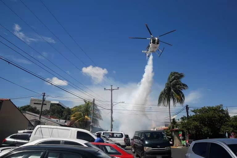 Una mutación genética en el mosquito del dengue lo hace hasta 10 veces más resistente a la fumigación