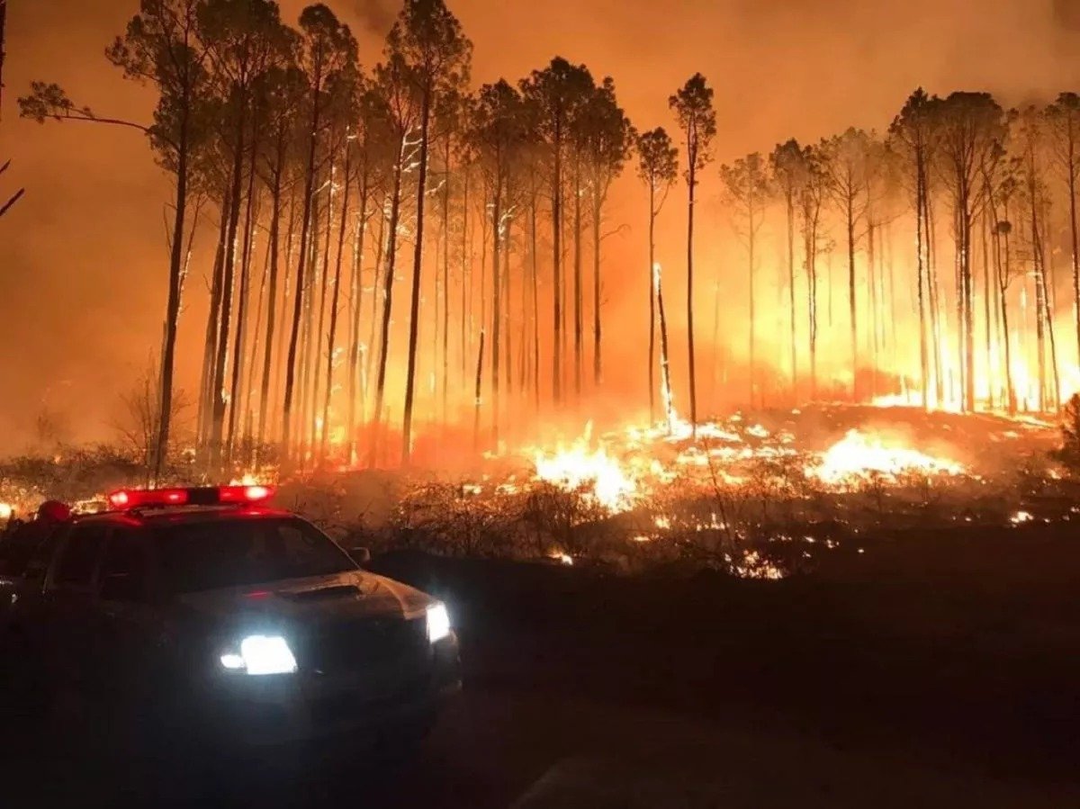 Alerta máxima por incendios forestales en Catamarca y gran parte del país