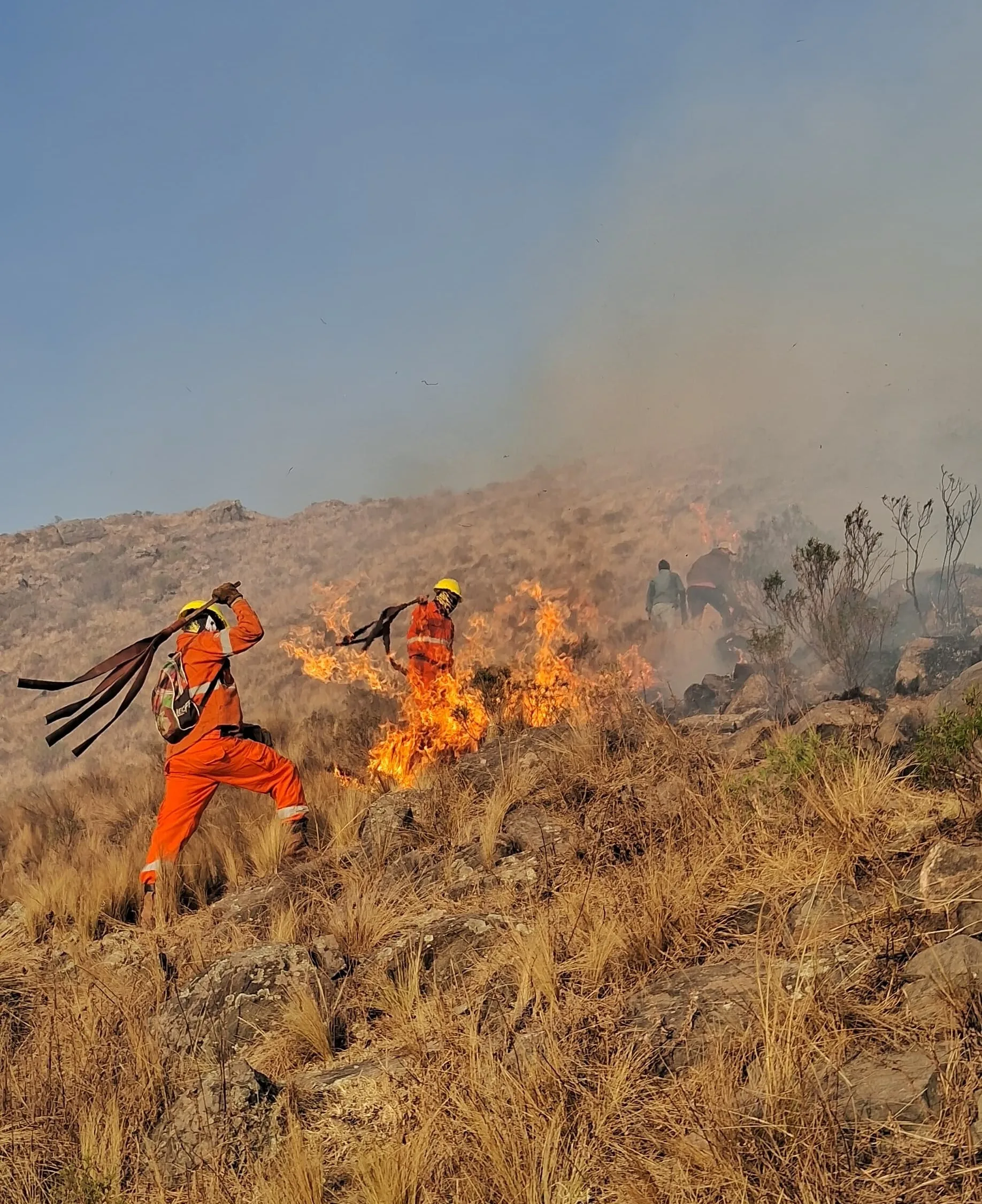 Controlaron el incendio forestal en Aconquija