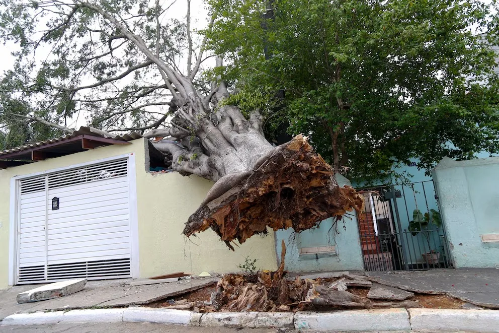 Al menos siete personas murieron en tempestad y fuertes vientos en el sur de Brasil