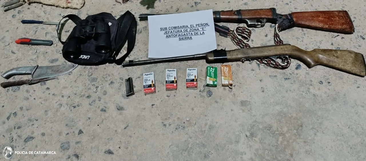 Secuestran cueros de vicuña y armas de fuego en Antofagasta de la Sierra: tres detenidos