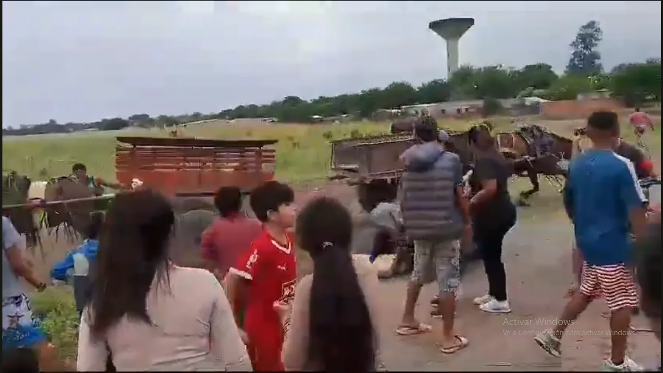 “La Chiguada”: brutal práctica de maltrato a caballos con apuestas (Video)