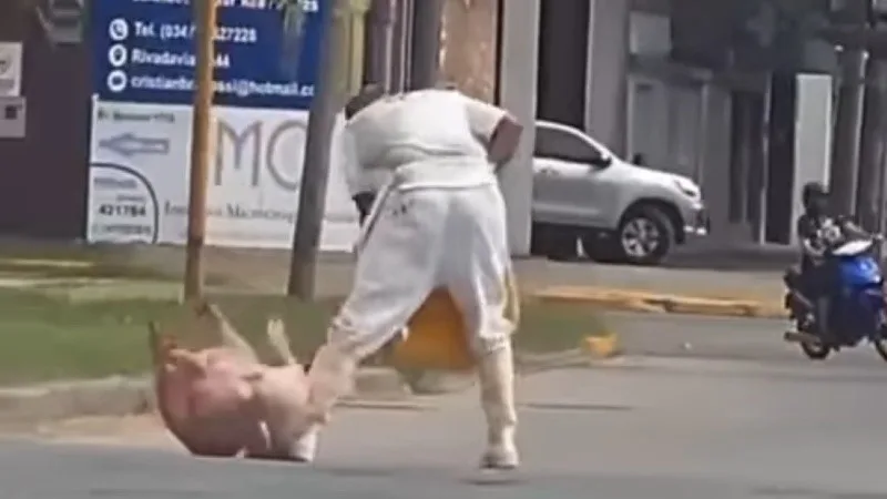 Video: empleado de un frigorífico de corrió a un chancho y lo mató a martillazos en plena calle