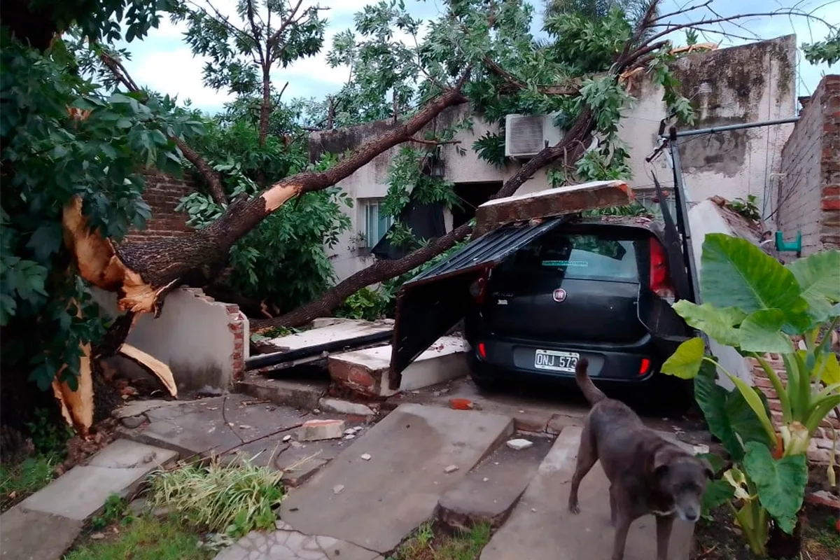 Fuerte temporal azotó Paraná durante la madrugada de este viernes