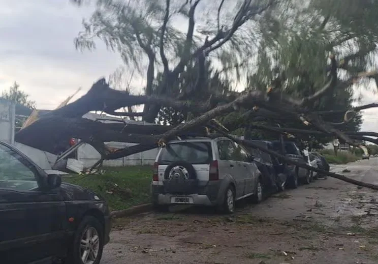 La tormenta causó destrozos en distintos puntos de Córdoba