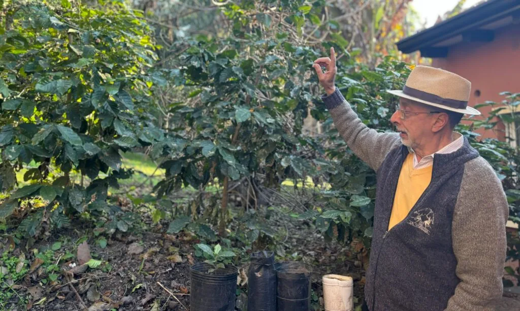 Con cinco semillas que trajo de un viaje que hizo a Costa Rica, hoy quiere comercializar café a gran escala en Tucumán