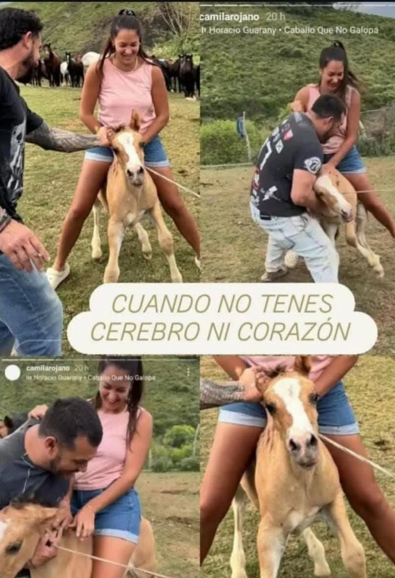 Video de maltrato animal: imputaron en Andalgalá a mujer escrachada en redes sociales (Imágenes sensibles)