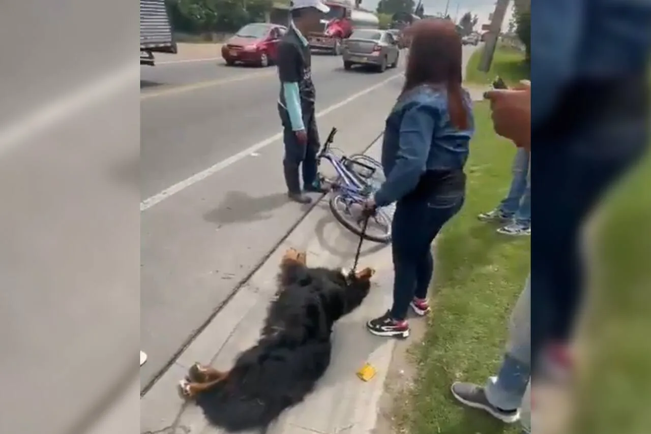 Maltrato animal: un salteño ahorcó y arrastró a su perro en una bicicleta