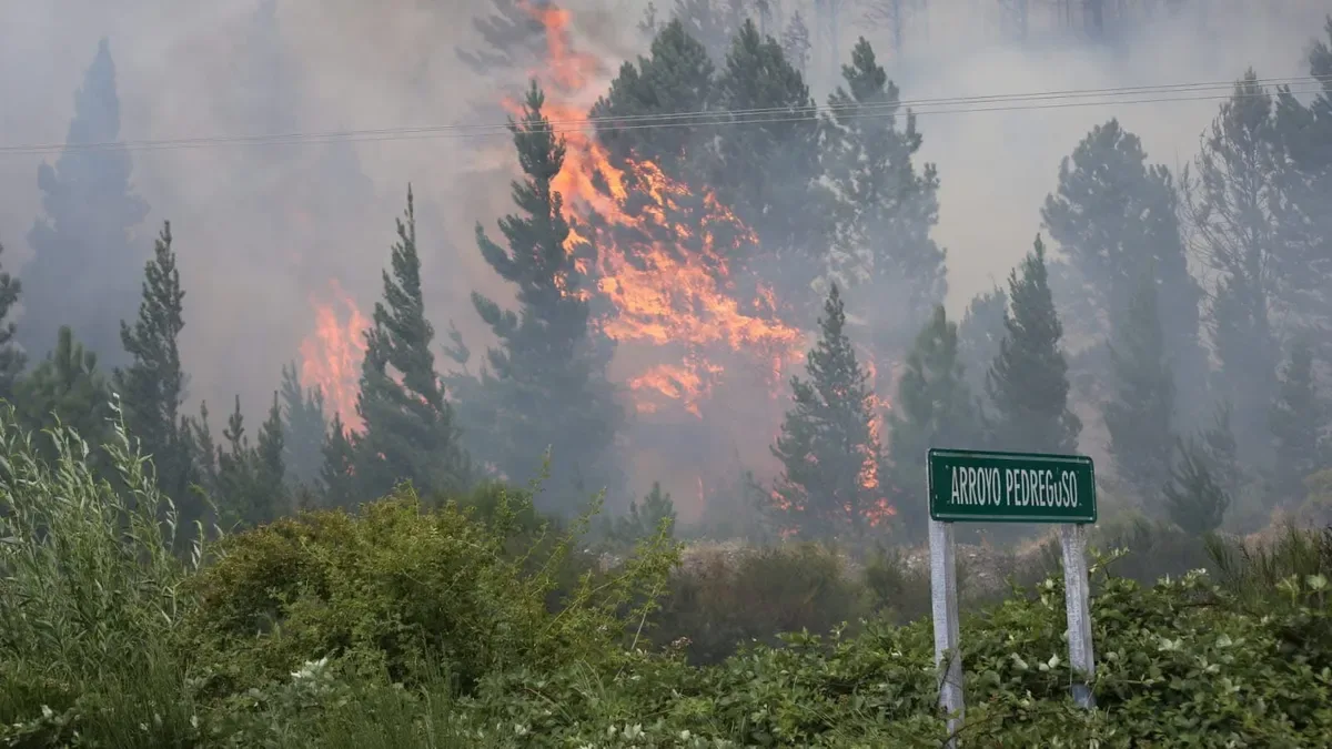 Incendios en Chubut: “Ya no corren riesgo los vecinos de Epuyén”, dijo el gobernador