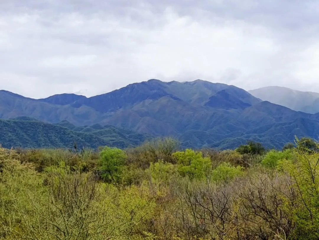 La copiosa lluvia apagó un incendio en Capayán