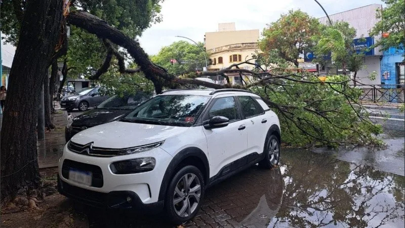 Temporal en Rosario: “60 milímetros de agua en minutos y ráfagas de más de 100km/h”