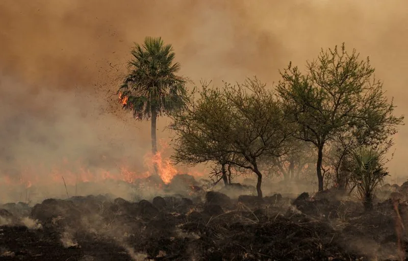 Incendio en Corrientes: ya se quemaron casi 250.000 hectáreas y sigue el riesgo extremo
