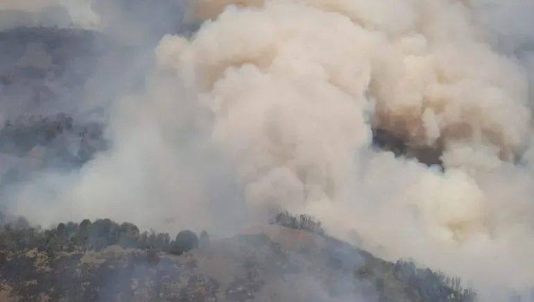 Incendio en el Parque Nacional Lanín: ya afectó más de 2.600 hectáreas y no descartan que sea intencional