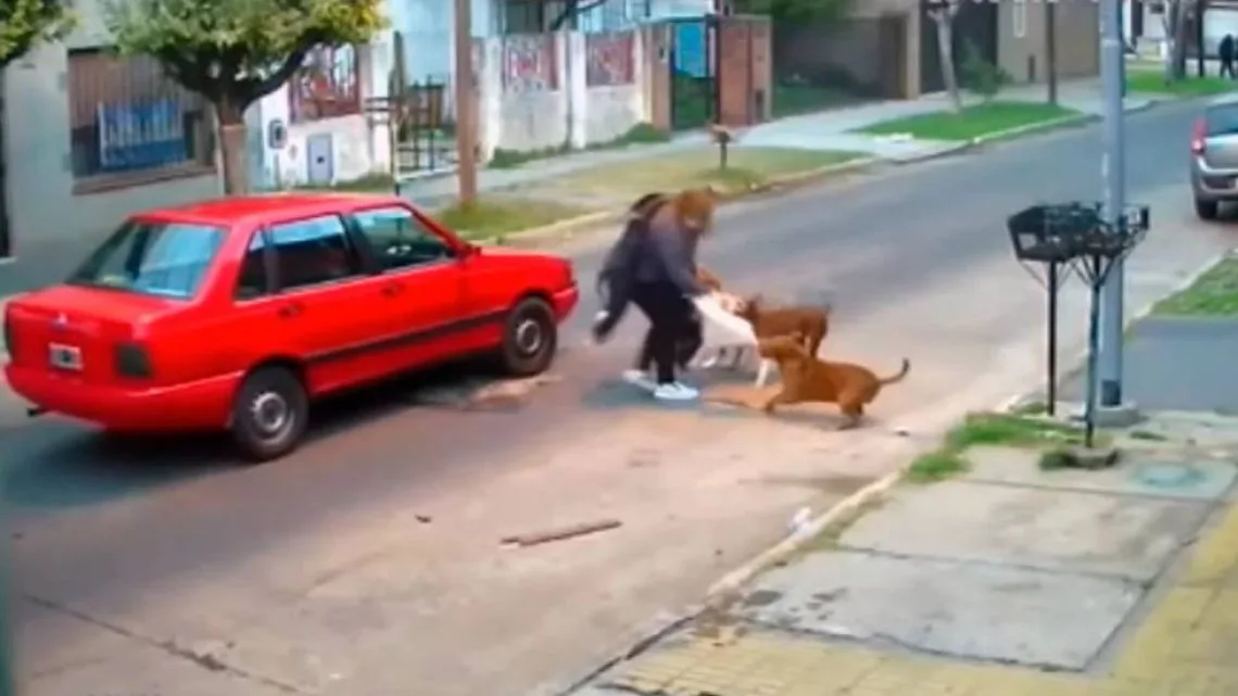 Una mujer fue atacada por el pitbull de su vecina y está grave