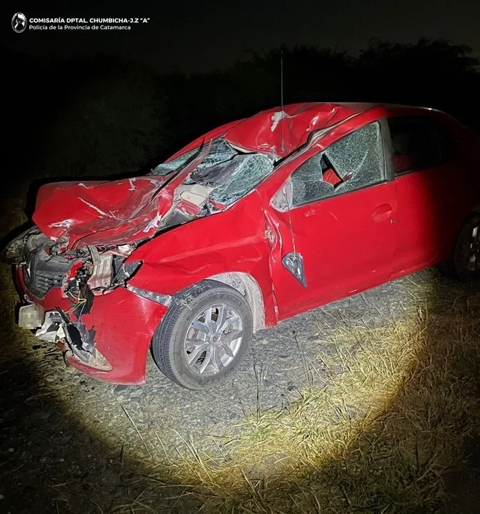 Catamarca: automovilista chocó contra un caballo y debió ser hospitalizado
