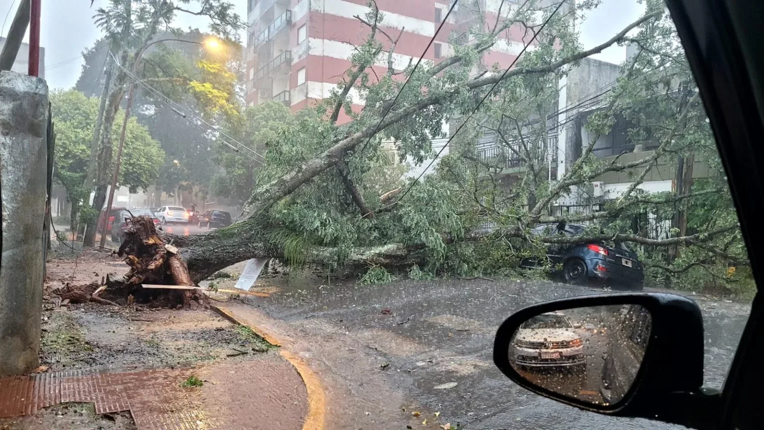 Fuerte temporal en Posadas dejó techos volados, árboles caídos y vehículos afectados este viernes