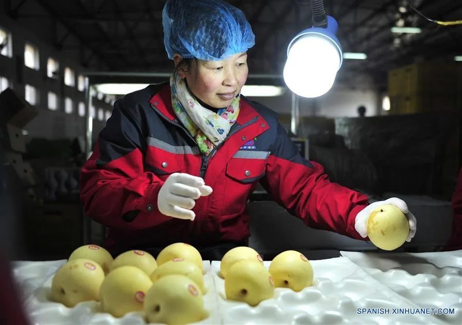 China anunció que comenzó a exportar peras a la Argentina