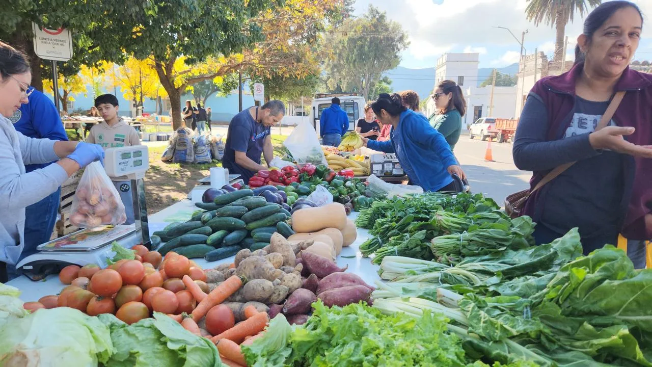 Este sábado llega el “Mercado Social Paclín” a La Merced: alimentos frescos y a precios accesibles para las familias