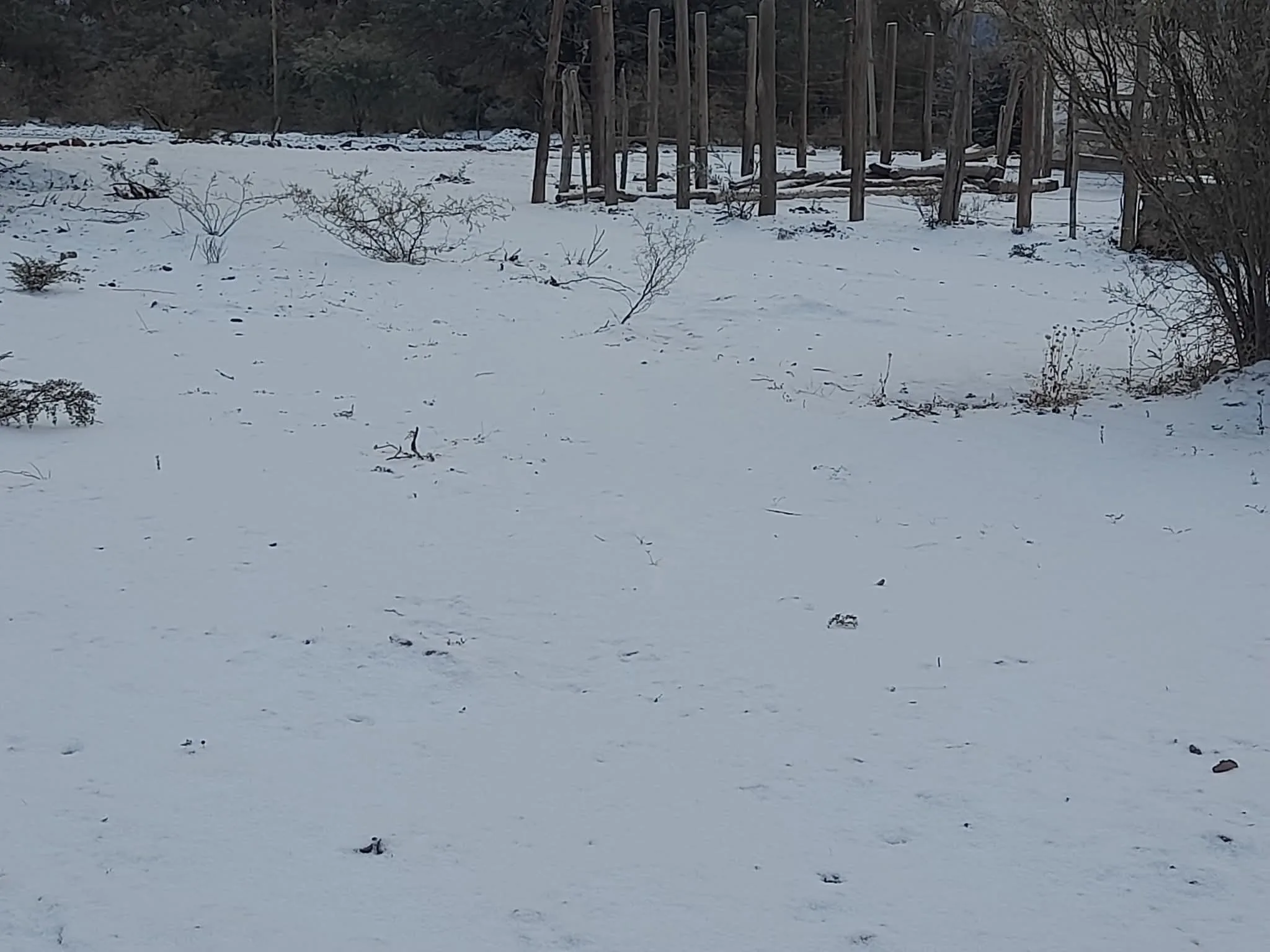 La Rioja: adelantaron las vacaciones de invierno, nevó en gran parte del interior y en la Capital