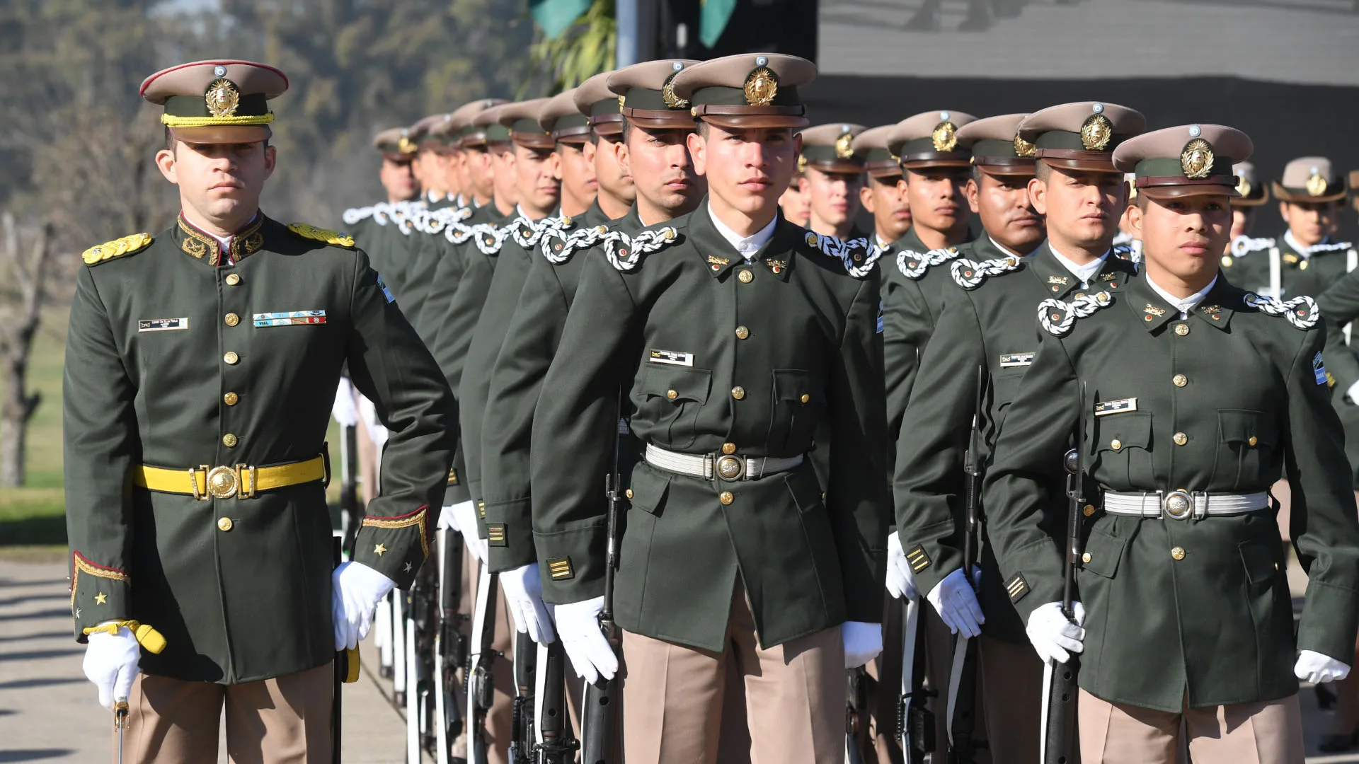 Milei redefine el rol de la Gendarmería, Prefectura y PSA por decreto, y elimina superposiciones en operativos
