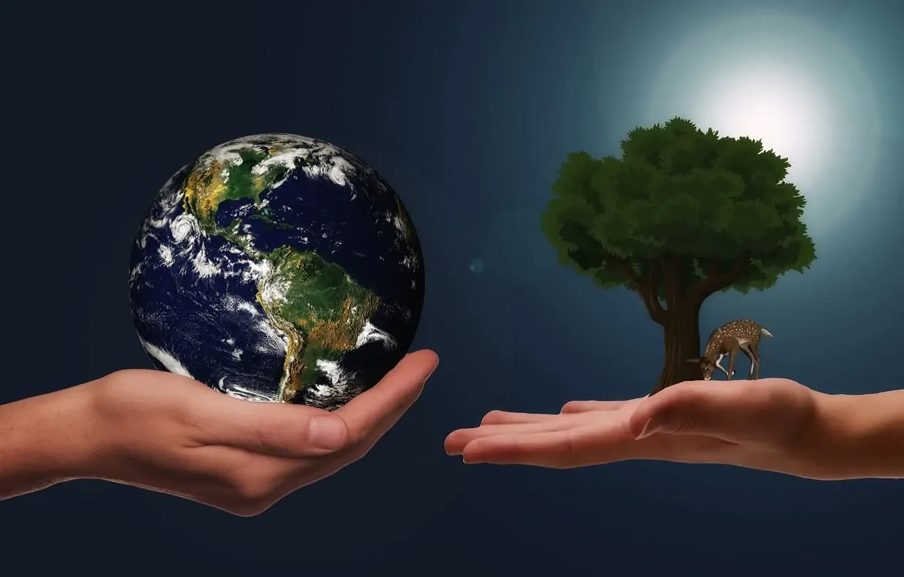 Hoy 5 de junio: por qué se celebra el Día Mundial del Medio Ambiente