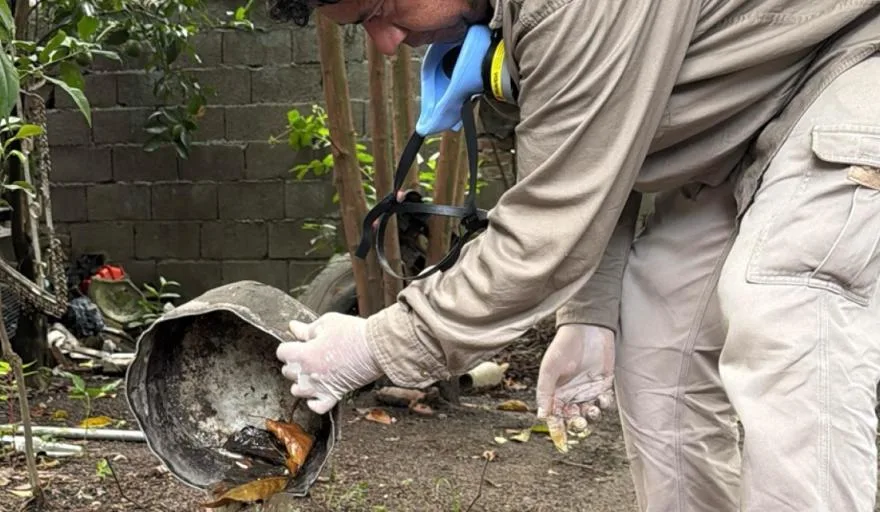 Control focal del Dengue en Catamarca: cronograma semanal