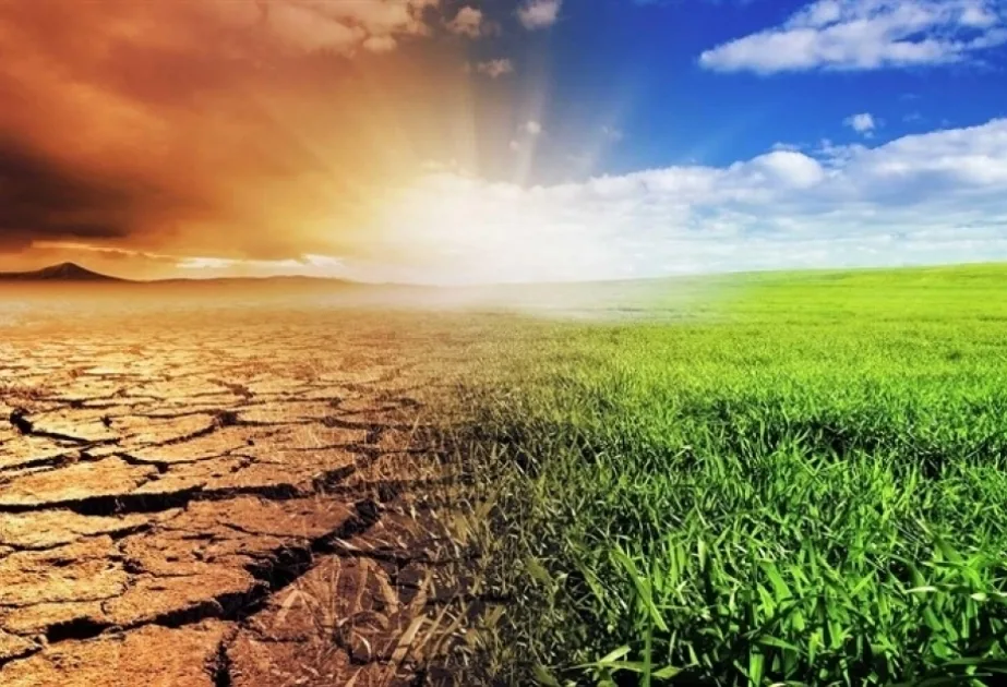 17 de junio: Día Mundial de Lucha contra la Desertificación, alertan por la pérdida de pastizales y sabanas en Argentina