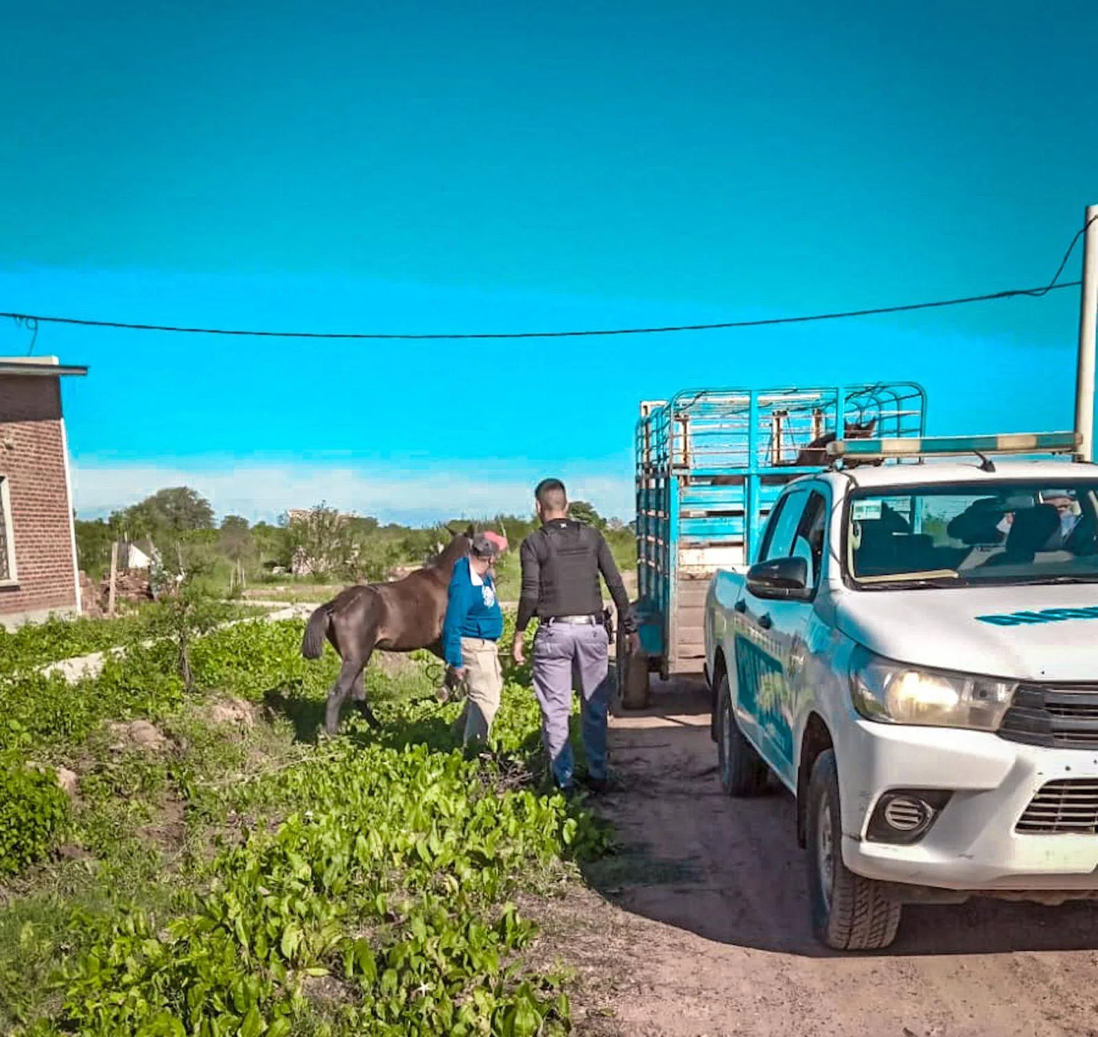 Asuntos Internos de la Policía de Catamarca inició sumario contra los efectivos sospechados de abigeato