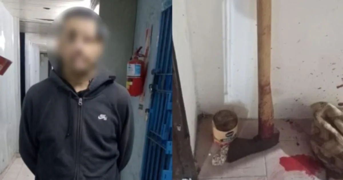 Un hombre con esquizofrenia asesinó a hachazos a su madre