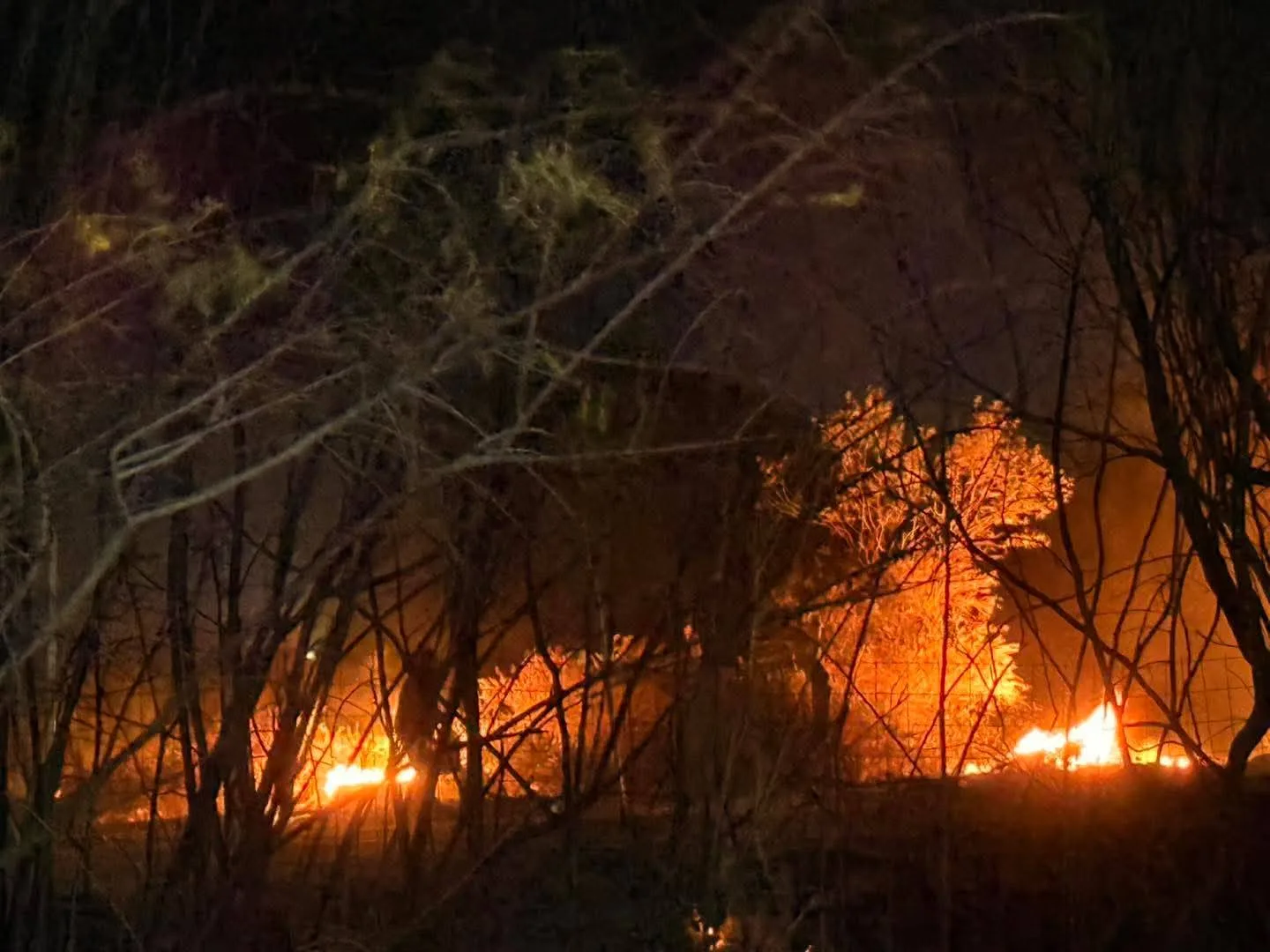 Catamarca: un incendio de grandes proporciones consumió quinchos en Santa María