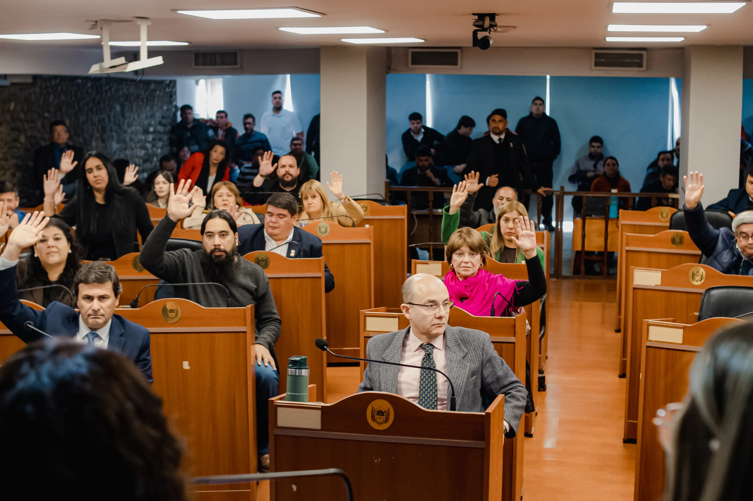 Catamarca: Diputados aprueban medidas para fortalecer justicia, bienestar animal y derechos de la infancia