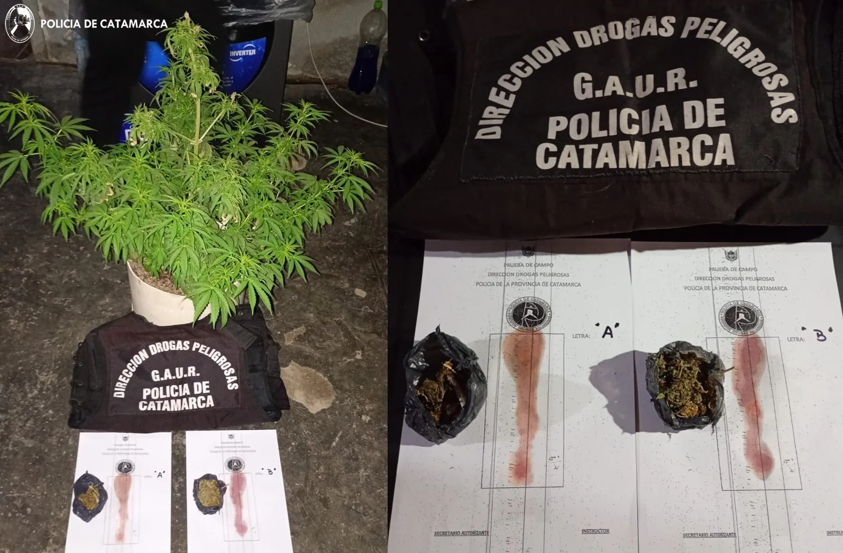 Policías de Catamarca incautaron cocaína y marihuana, y dos millones de pesos en Andalgalá: un detenido