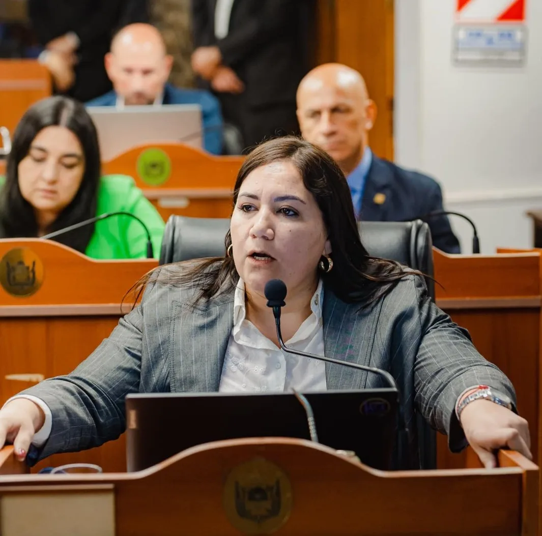 Interna de la UCR en Catamarca: bajaron la lista de Silvana Carrizo por ser “muy opositores”