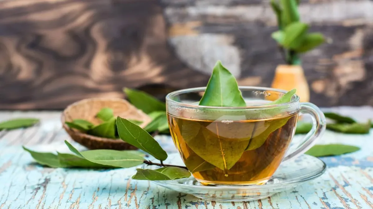 Advierten que el té de ruda no es para todos: recomendaciones