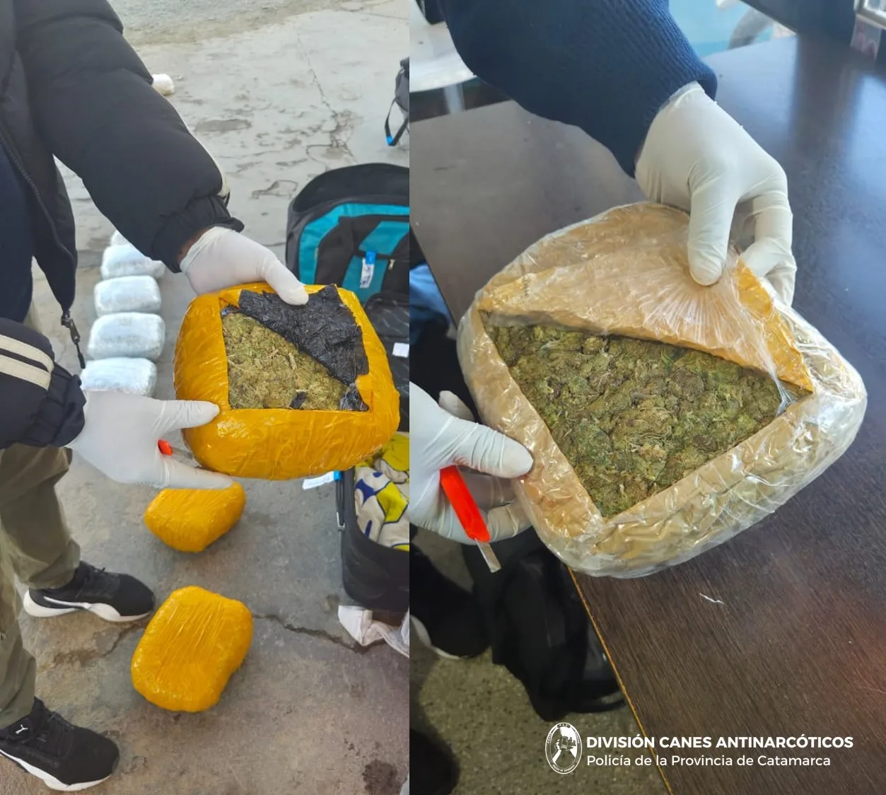 Catamarca: el informe policial sobre secuestro de cocaína y marihuana en Valle Viejo