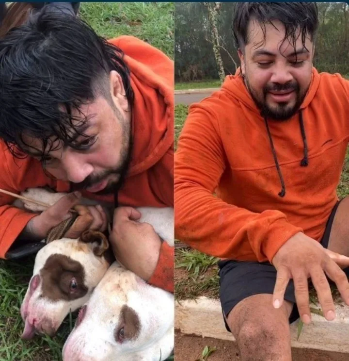 Video: un experto en artes marciales fue atacado por dos pitbulls y los redujo con una toma y salvó su vida