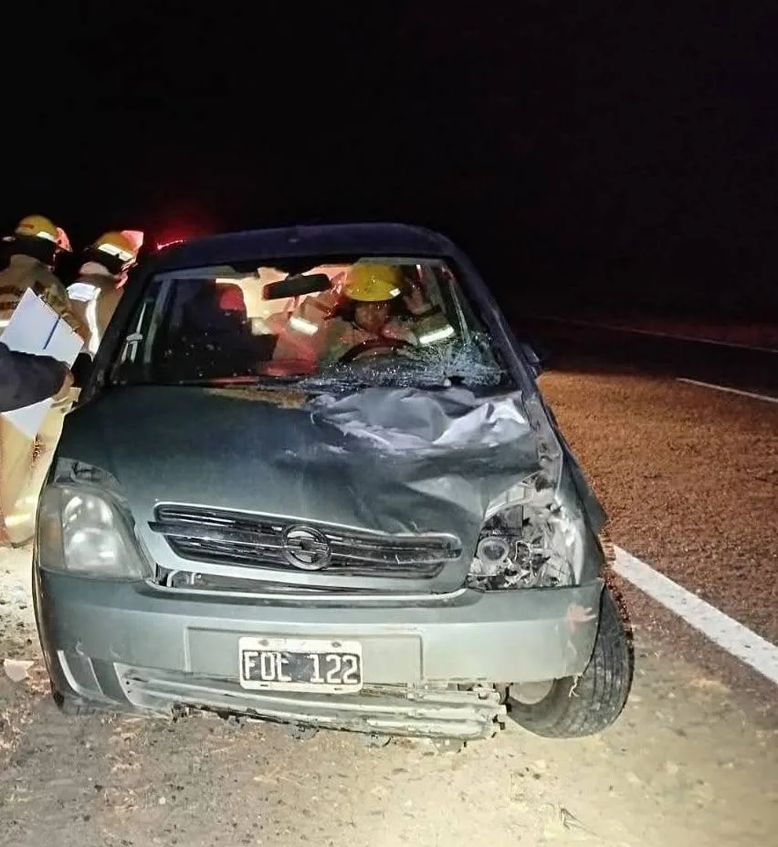 Catamarca: hospitalizan a una automovilista que chocó contra una vaca en Santa María