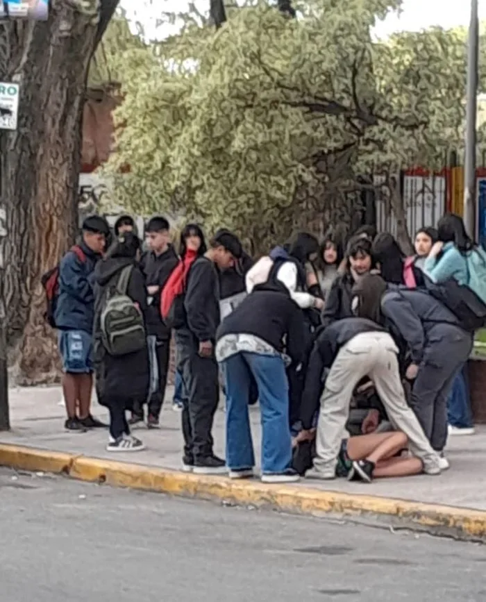 Un adolescente golpeó, tiró al piso y acuchilló a una compañera de colegio