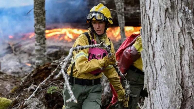 Eliminan otros tres fondos fiduciarios vinculados al manejo del fuego, obras y desarrollo productivo