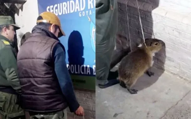 Detuvieron a un hombre por intentar vender un carpincho a través de sus redes sociales