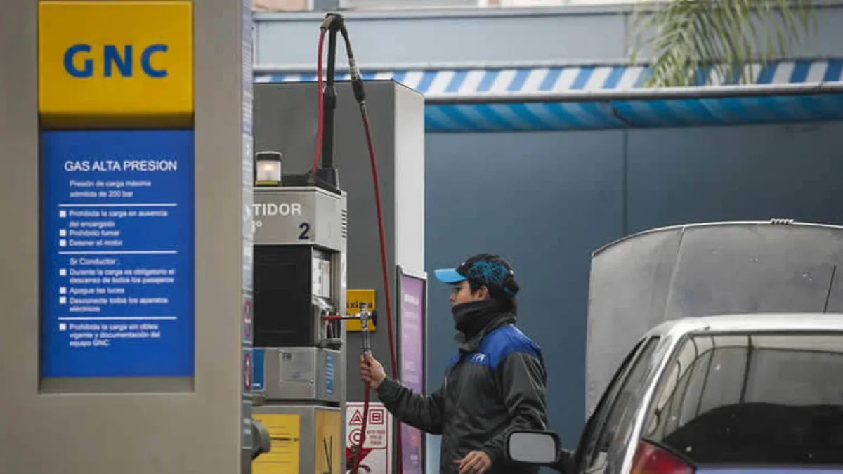 Se espera otra ola de frío extremo y buscan mecanismos para que no vuelva a faltar el gas