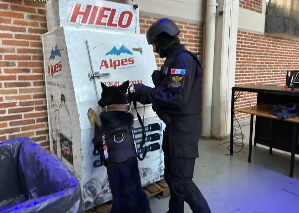 Secuestraron tusi, éxtasis y otras drogas ocultas en caramelos en una fiesta electrónica