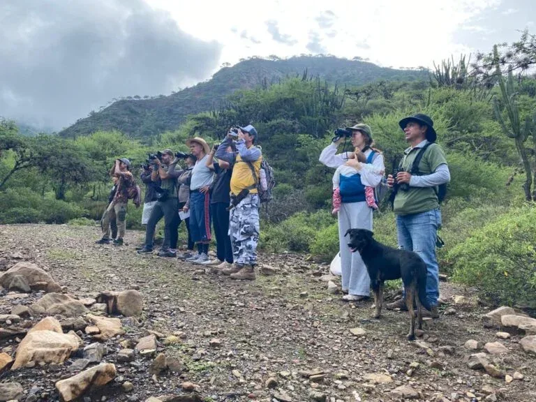 Propuesta de avistaje de aves en Pueblo Perdido de Catamarca
