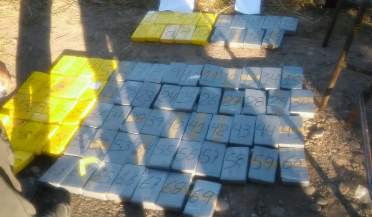 Iban a incinerar droga secuestrada y se descubrió que la habían reemplazado por plastilina