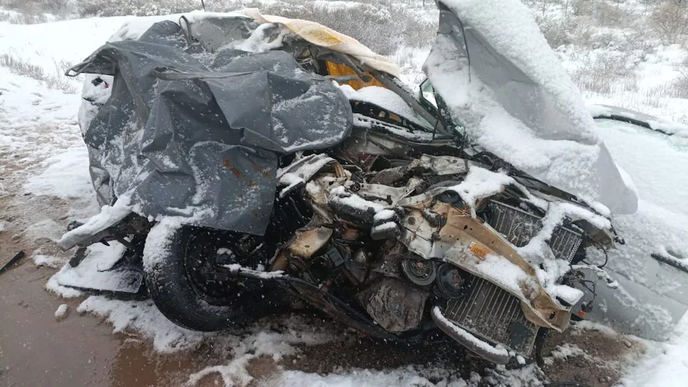 Río Negro: murieron dos mujeres y dos menores de edad al chocar contra un camión en plena tormenta de nieve