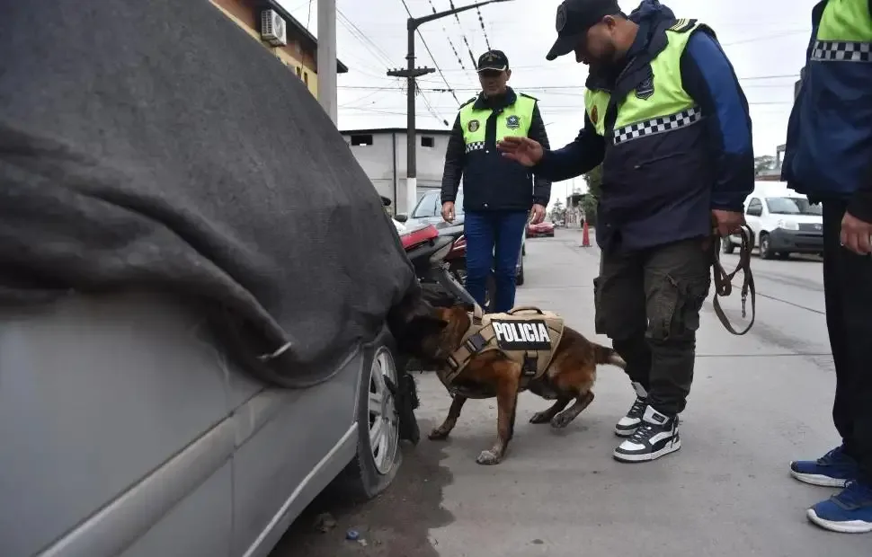 Un perro de la Policía tucumana ganó certamen nacional de canes detectores de drogas