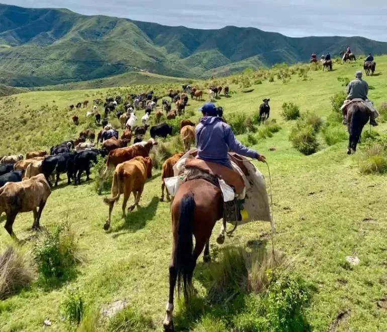 Catamarca será sede del 48° Congreso Argentino de Producción Animal