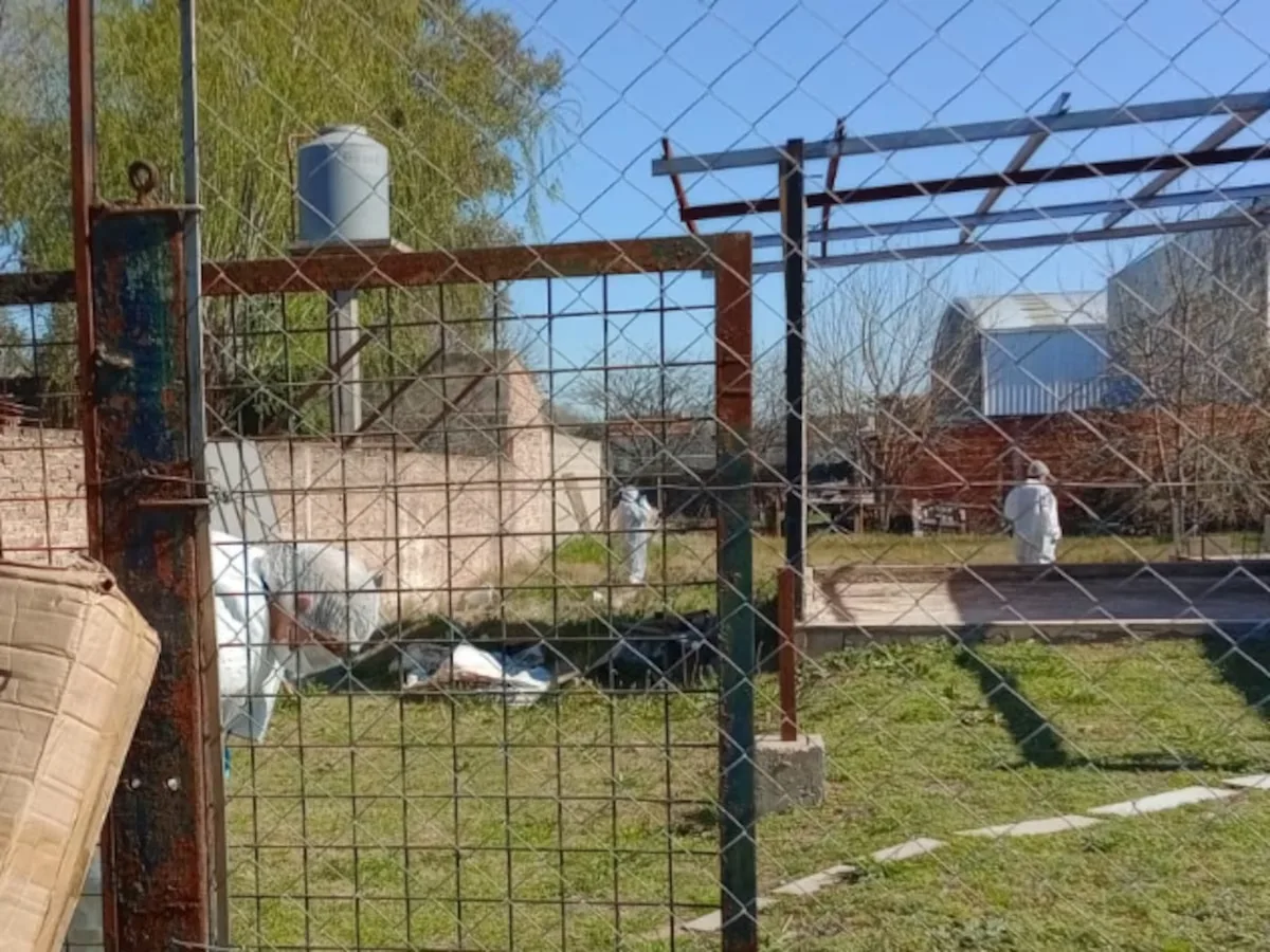 Femicidio: hallaron semi enterrada a una mujer en su casa