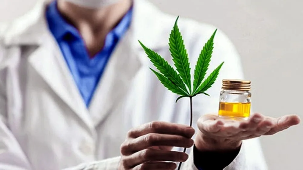 Proponen que farmacias puedan elaborar y dispensar cannabis medicinal personalizado en Santa Fe