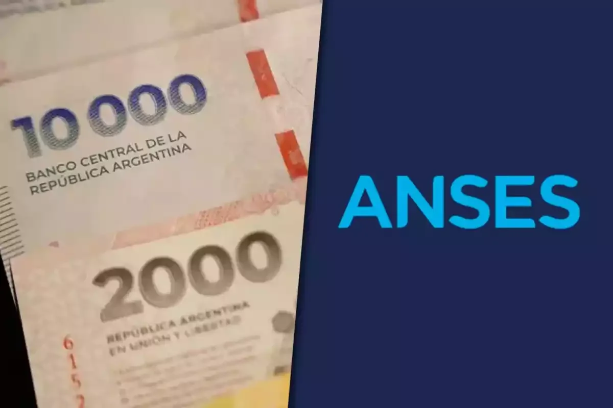 Aumento de asignaciones familiares: quiénes no cobrarán en agosto y por qué